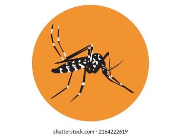 
Black and white tiger mosquito on orange circle