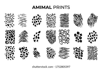 Black and White Tiger prints patterns, safari animals skin of big cats. Leopard, jaguar and zebra, vector texture decoration elements. Safari animals print patterns, panther cheetah and giraffe