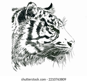 Black White Tiger Profile Stock Vector (Royalty Free) 2210763809 ...