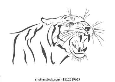 black and white tiger vector