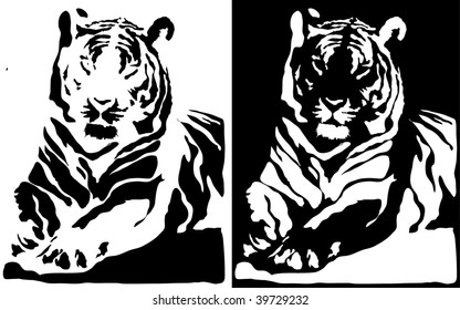 Black and white tiger.  vector