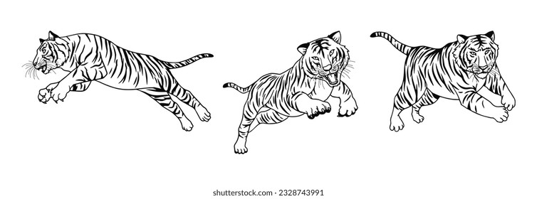 black and white tiger  vector illustration consisting of three images