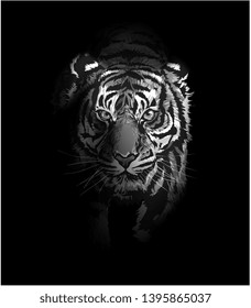 black and white tiger walking in the shadow illustration