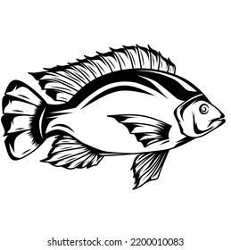 Black White Tilapia Vector Symbols Signs Stock Vector (Royalty Free ...