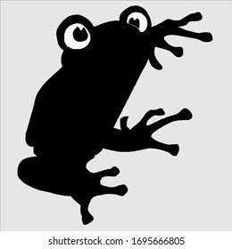 black and white toad getting ready to jump