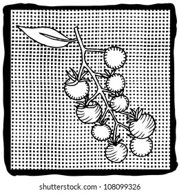 black and white tomato on pattern background