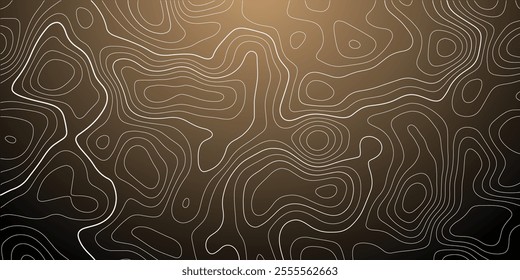 Black and white Topographic map like abstract backdrop. Fractal lines, organic pattern print, Seamless earth line, Wavy lines shaped like the contours of the land, geographic grid map, mountain, area.