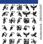 Black And White Toucan Illustrations A Collection Of Tropical Bird Designs
