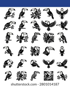 Black And White Toucan Illustrations A Collection Of Tropical Bird Designs