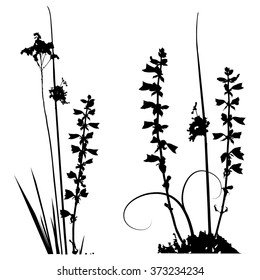 Black and white Traced plants silhouettes collection for designers