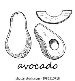 black and white transparent avocado fruit and slice