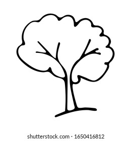 Black and white tree doodle sketch. Oak vector illustration for coloring book.