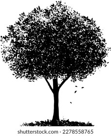 Black and white tree drawing for illustration vector background