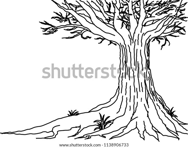 Black White Tree Line Art Stock Vector (Royalty Free) 1138906733 ...