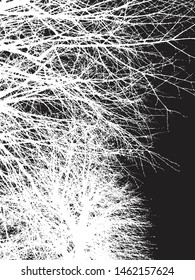 Black and white tree silhouette landscape. Night scenery. Mysterious, graphic, backdrop.