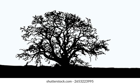Ilustração do vetor da silhueta da árvore preta e branca. Árvore única dramática no horizonte, perfeita para fundos, impressões, cartazes, arte digital e projetos de design criativo com um design arrojado e natural