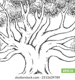 black and white tree with a thick trunk and lush crown