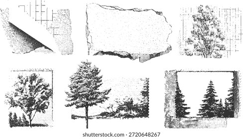 Blanco y negro de árboles y Formas abstractas con patrones de semitonos paisaje de la naturaleza forestal