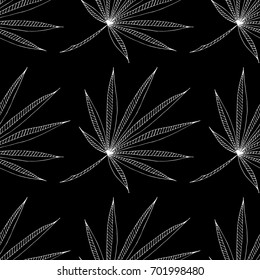 Black and White Tropic Leaves. Seamless Pattern with Tropical Zentangle Plants. Rapport for Textile, Paper, Print, Calico. Monochrome Texture