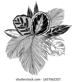 Black and white tropical bouquet. Large ornamental leaves. Hand drawn vector illustration isolated on white background.