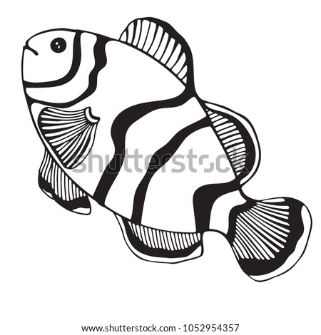 Black White Tropical Fish Exotic Fish Stock Vector (Royalty Free ...