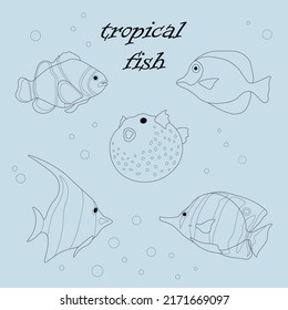 Black and white tropical fish vector illustration isolated on light blue background. Coloring book template