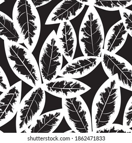 Black and White Tropical Leaf botanical seamless pattern background suitable for fashion prints, graphics, backgrounds and crafts