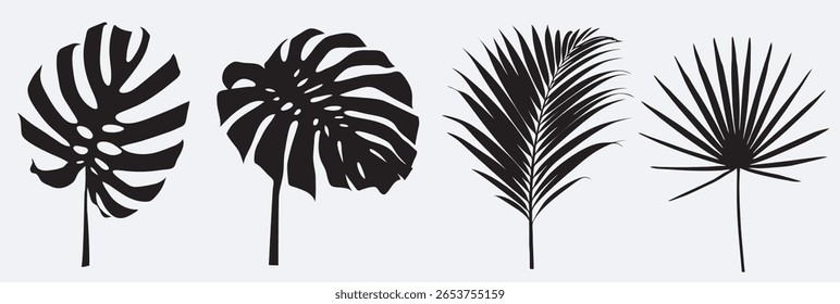 Black and white tropical leaves and plants in various shapes and patterns, vector illustration set. Includes monstera, palm, and other exotic leaves in a stylized, simple design.