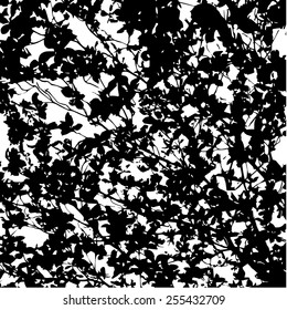 Black and white tropical leaves vector background
