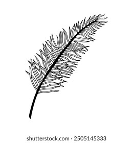 Black and white tropical palm leaf of Acrocomia line vector illustration. Jungle, botanical ink sketch for summer floral designs. Hand drawn Anthurium for coloring books