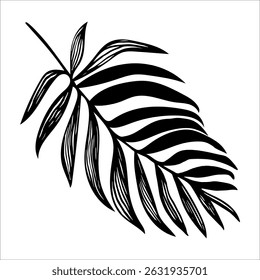 Black and white tropical palm leaf vector element isolated on white background. Perfect for create fashion apparel fabric, trendy package, bedding, wallpaper, accessories, outerwear, cloth textile.