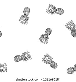 Black and white tropical pattern of hand-drawn pineapples. Summer fruit Doodle on white background.