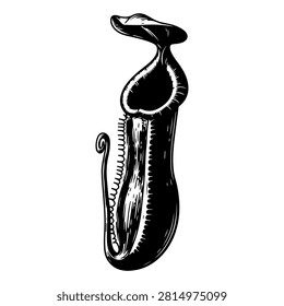 Black and white tropical pitcher plant nepenthes monkey cup vector illustration isolated