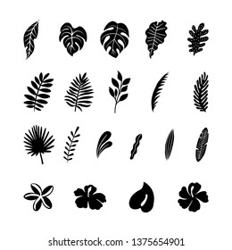 Black and white tropical vector illustrations. 