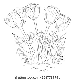 Black and white tulip flowers with branches and leaves. Hand drawn line leaves branches and grasses.
