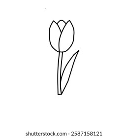 Black and white tulip illustration, hand-drawn floral sketch, monochrome tulip flower art, vintage botanical drawing, tulip bouquet line art, detailed flower engraving, elegant floral outline design