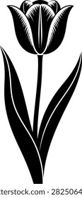 black and white tulip vector illustration isolated on white background