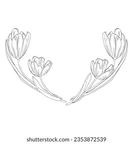 Black and white tulips wreath for card or invite, coloring pages with spring flower.Tulips wreath line art flower, vector isolated on a white background