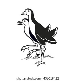 black & white two water hens walking together-vector drawing