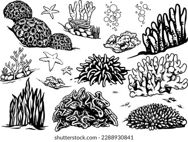 black and white underwater habitats set