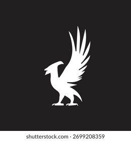 Black and white unique bird