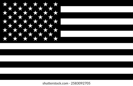 Black and White United States Flag