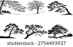 Black and white of various trees on white background silhouette nature