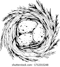 Black and white vecor illustration of nest with three eggs isolated on white background. Hand drawn line art.