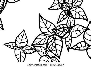 Black and White vector abstract backdrop with leaves. Colorful abstract illustration with leaves in doodle style. Doodle design for your web site.