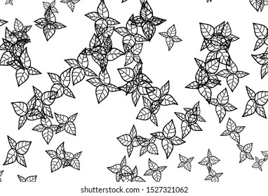 Black and White vector abstract backdrop with leaves. leaves on elegant natural pattern with gradient. Elegant pattern for your brand book.