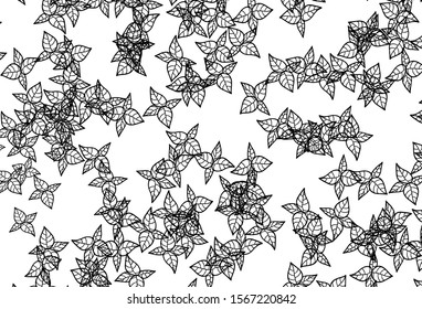 Black and White vector abstract backdrop with leaves. Creative illustration in blurred style with leaves. Elegant pattern for your brand book.
