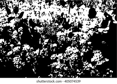 Black and white vector abstract background with texture of grass flowers on meadow