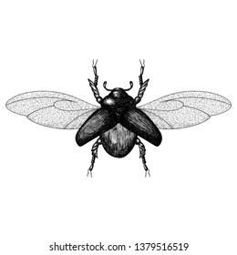 558,535 Black and white insect Images, Stock Photos & Vectors ...