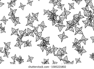 Black and White vector abstract design with leaves. Modern geometrical abstract illustration with leaves. Brand new design for your business.